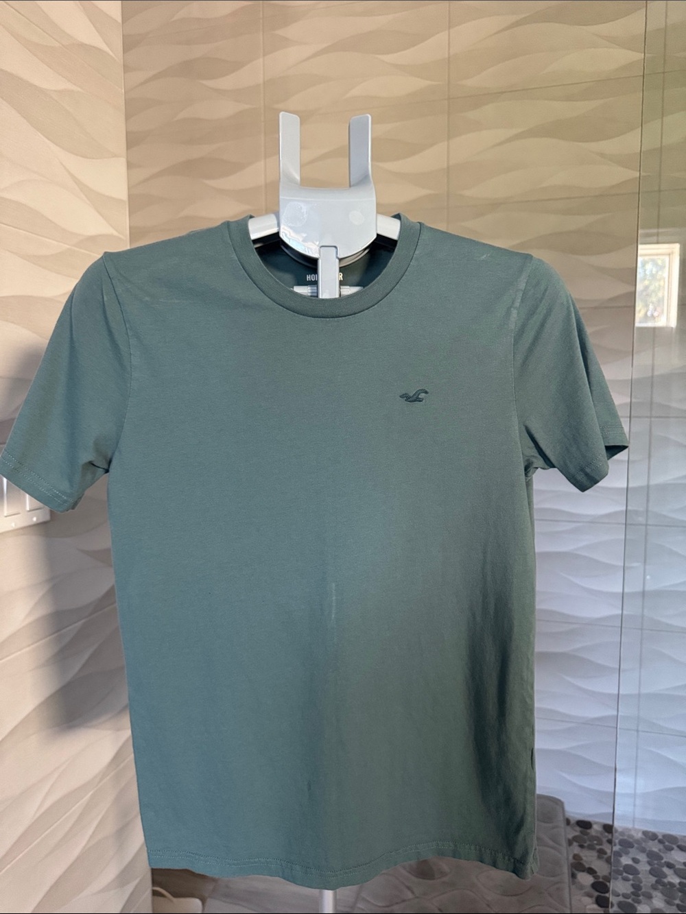 Hollister Men's Crewneck Tee — Sage Green XS